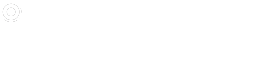 IC Plus